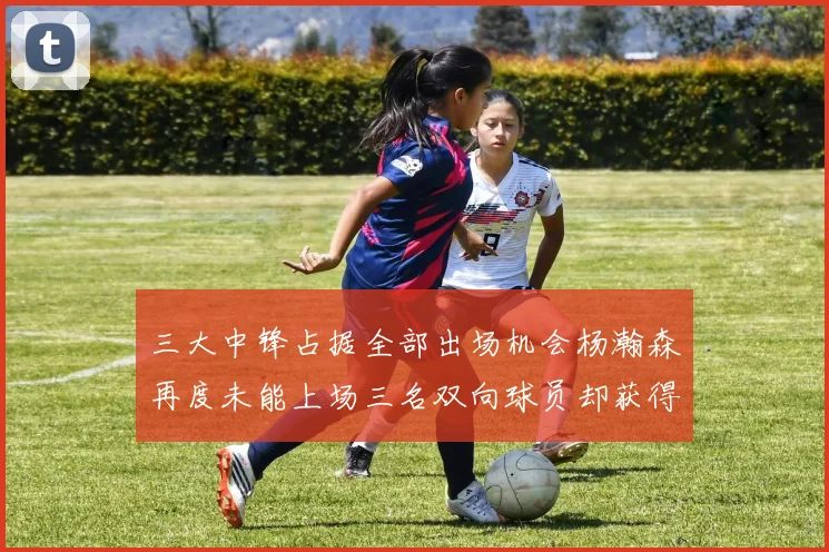 三大中锋占据全部出场机会杨瀚森再度未能上场三名双向球员却获得机会