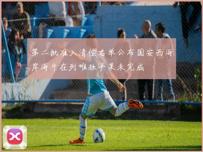 第二批准入清偿名单公布国安西海岸海牛在列唯独平果未完成