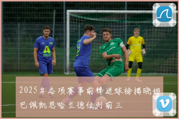 2025年各项赛事前锋进球榜揭晓姆巴佩凯恩哈兰德位列前三