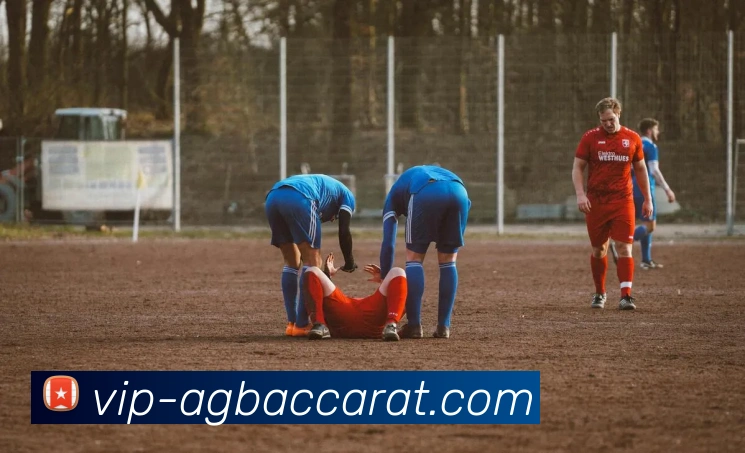 AG百家乐APP 高清赛事图